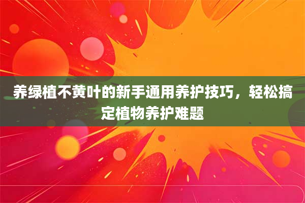 养绿植不黄叶的新手通用养护技巧，轻松搞定植物养护难题