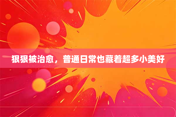狠狠被治愈，普通日常也藏着超多小美好