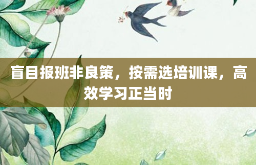 盲目报班非良策，按需选培训课，高效学习正当时