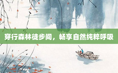 穿行森林徒步间，畅享自然纯粹呼吸
