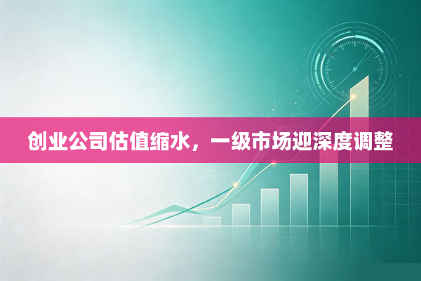 创业公司估值缩水，一级市场迎深度调整