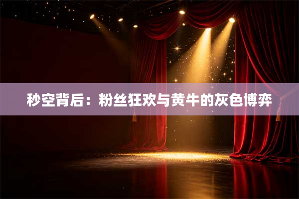 秒空背后：粉丝狂欢与黄牛的灰色博弈
