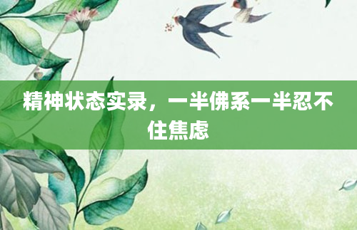 精神状态实录,一半佛系一半忍不住焦虑