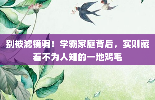 别被滤镜骗!学霸家庭背后,实则藏着不为人知的一地鸡毛