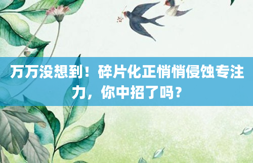 万万没想到!碎片化正悄悄侵蚀专注力,你中招了吗?