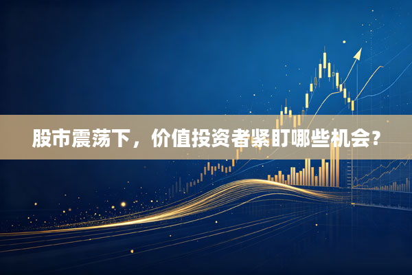 股市震荡下,价值投资者紧盯哪些机会?